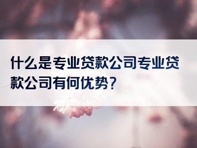 什么是专业贷款公司专业贷款公司有何优势？