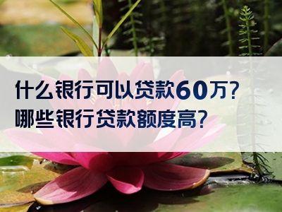 什么银行可以贷款60万？哪些银行贷款额度高？