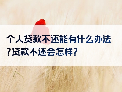 个人贷款不还能有什么办法？贷款不还会怎样？