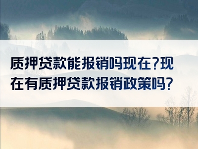 质押贷款能报销吗现在？现在有质押贷款报销政策吗？