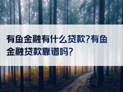 有鱼金融有什么贷款？有鱼金融贷款靠谱吗？