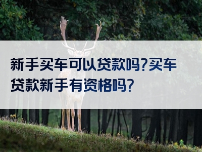 新手买车可以贷款吗？买车贷款新手有资格吗？