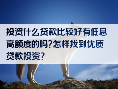 投资什么贷款比较好有低息高额度的吗？怎样找到优质贷款投资？