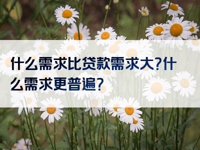 什么需求比贷款需求大？什么需求更普遍？