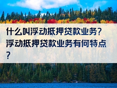 什么叫浮动抵押贷款业务？浮动抵押贷款业务有何特点？