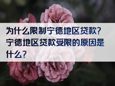 为什么限制宁德地区贷款？宁德地区贷款受限的原因是什么？