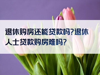 退休购房还能贷款吗？退休人士贷款购房难吗？