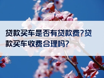 贷款买车是否有贷款费？贷款买车收费合理吗？