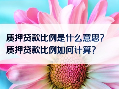 质押贷款比例是什么意思？质押贷款比例如何计算？