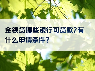 金领贷哪些银行可贷款？有什么申请条件？