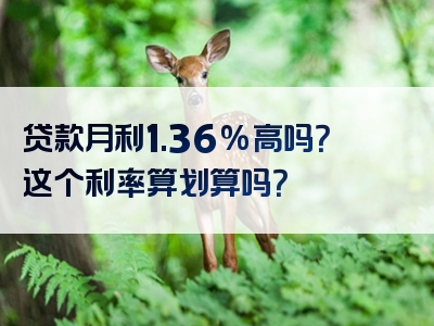 贷款月利1.36%高吗？这个利率算划算吗？