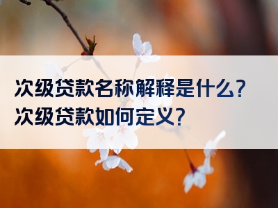 次级贷款名称解释是什么？次级贷款如何定义？