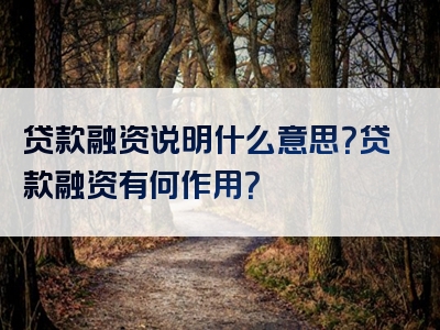 贷款融资说明什么意思？贷款融资有何作用？