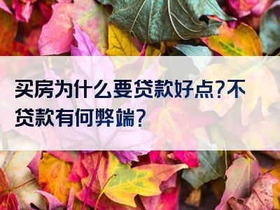 买房为什么要贷款好点？不贷款有何弊端？