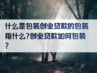 什么是包装创业贷款的包装指什么？创业贷款如何包装？