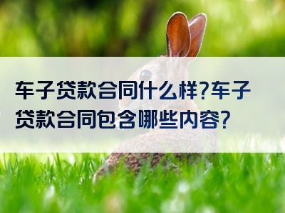 车子贷款合同什么样？车子贷款合同包含哪些内容？