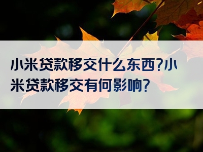 小米贷款移交什么东西？小米贷款移交有何影响？