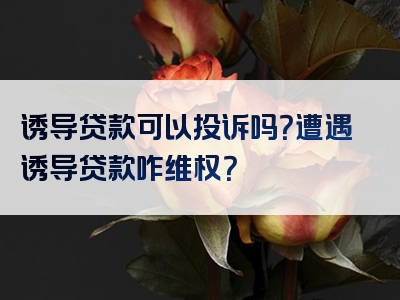 诱导贷款可以投诉吗？遭遇诱导贷款咋维权？