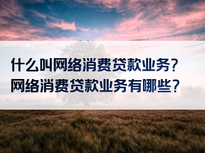 什么叫网络消费贷款业务？网络消费贷款业务有哪些？