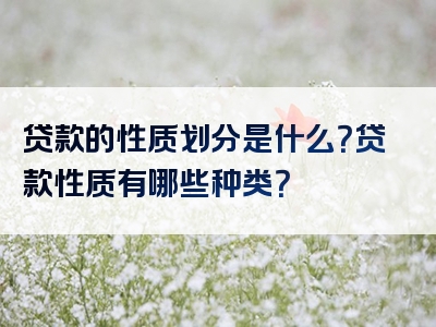 贷款的性质划分是什么？贷款性质有哪些种类？