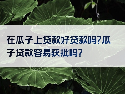 在瓜子上贷款好贷款吗？瓜子贷款容易获批吗？