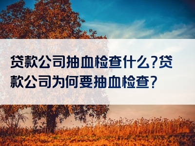 贷款公司抽血检查什么？贷款公司为何要抽血检查？