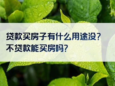 贷款买房子有什么用途没？不贷款能买房吗？