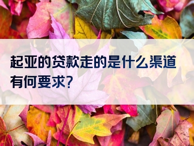 起亚的贷款走的是什么渠道有何要求？