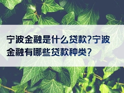 宁波金融是什么贷款？宁波金融有哪些贷款种类？