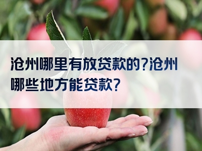 沧州哪里有放贷款的？沧州哪些地方能贷款？