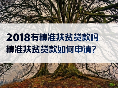 2018有精准扶贫贷款吗精准扶贫贷款如何申请？