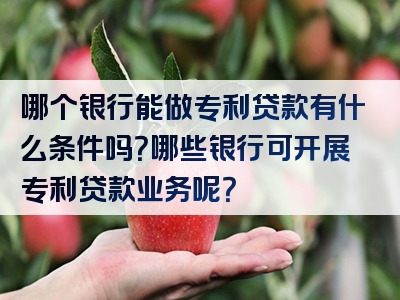 哪个银行能做专利贷款有什么条件吗？哪些银行可开展专利贷款业务呢？