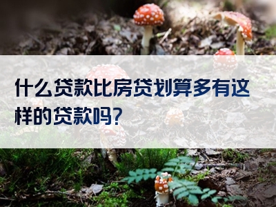 什么贷款比房贷划算多有这样的贷款吗？