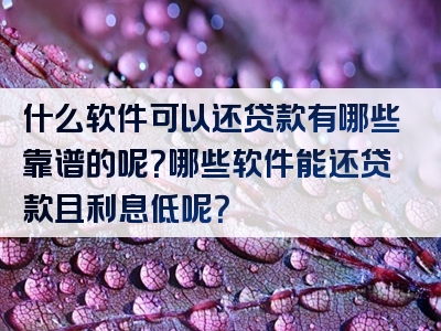 什么软件可以还贷款有哪些靠谱的呢？哪些软件能还贷款且利息低呢？