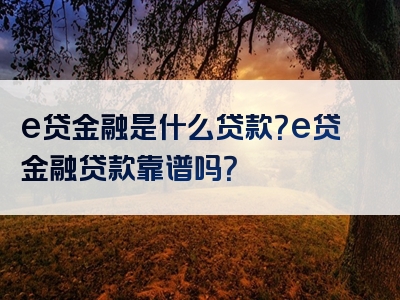 e贷金融是什么贷款？e贷金融贷款靠谱吗？