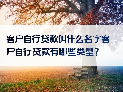 客户自行贷款叫什么名字客户自行贷款有哪些类型？