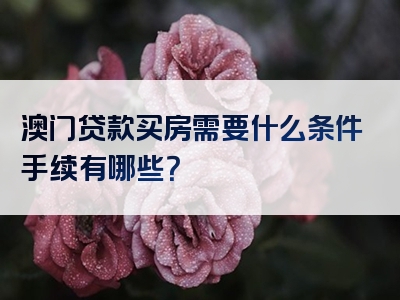 澳门贷款买房需要什么条件手续有哪些？