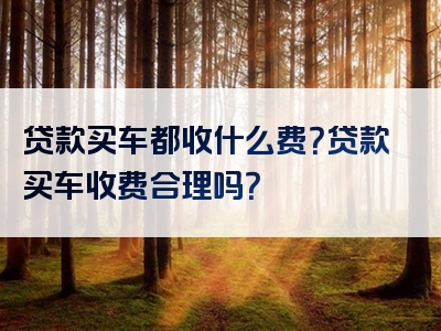 贷款买车都收什么费？贷款买车收费合理吗？