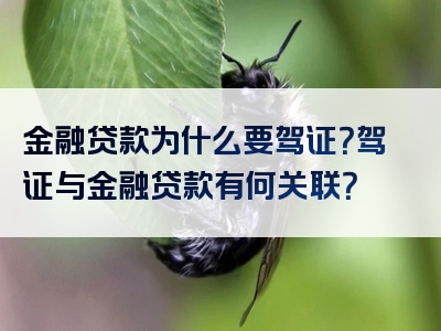 金融贷款为什么要驾证？驾证与金融贷款有何关联？