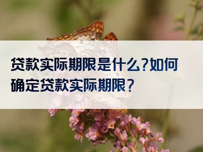 贷款实际期限是什么？如何确定贷款实际期限？