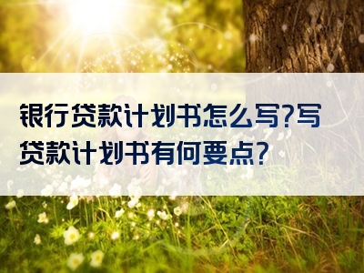 银行贷款计划书怎么写？写贷款计划书有何要点？