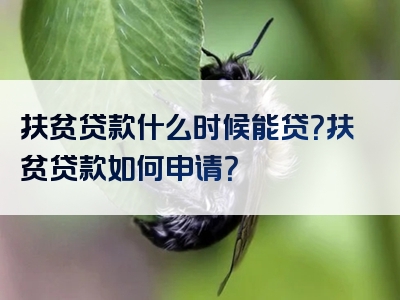 扶贫贷款什么时候能贷？扶贫贷款如何申请？