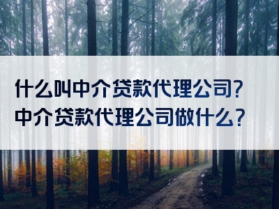 什么叫中介贷款代理公司？中介贷款代理公司做什么？