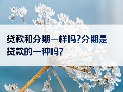 贷款和分期一样吗？分期是贷款的一种吗？