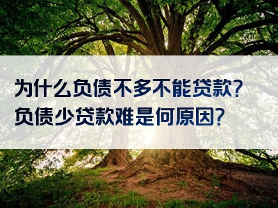 为什么负债不多不能贷款？负债少贷款难是何原因？