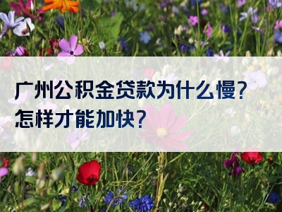 广州公积金贷款为什么慢？怎样才能加快？