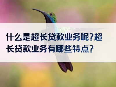 什么是超长贷款业务呢？超长贷款业务有哪些特点？