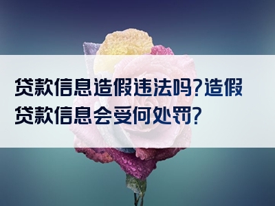 贷款信息造假违法吗？造假贷款信息会受何处罚？