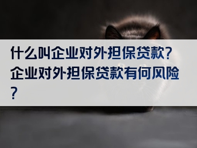 什么叫企业对外担保贷款？企业对外担保贷款有何风险？