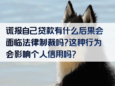 谎报自己贷款有什么后果会面临法律制裁吗？这种行为会影响个人信用吗？